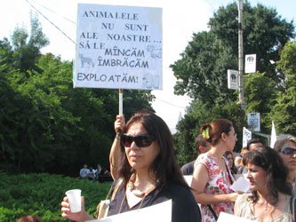 7=ziua eliberarii animalelor 24.07.2011