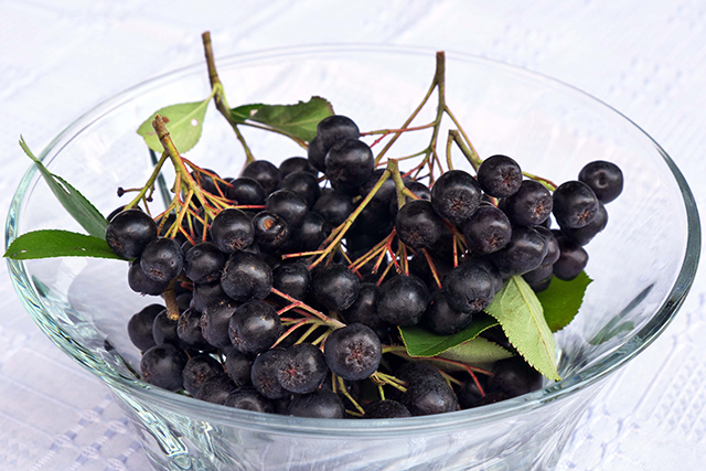 fructe de aronia (scorus negru)