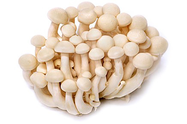 ciuperci Shimeji albe, bunapi