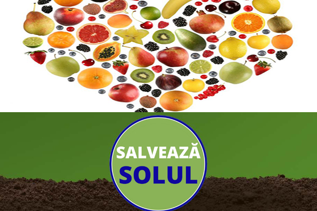 SalveazaSolul-Fructe salveaza solul cu alimentatie bazata pe fructe